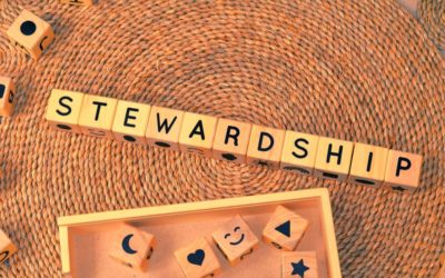 THE STEWARDSHIP CAMPAIGN